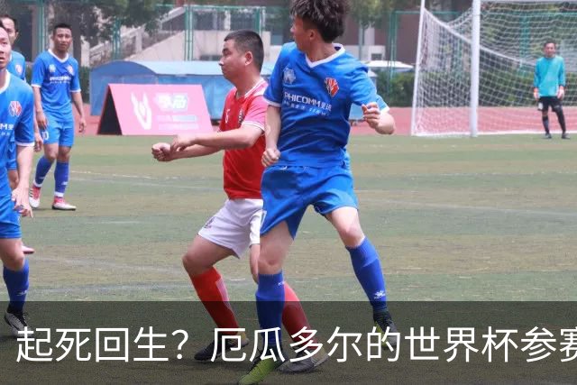 起死回生？厄瓜多尔的世界杯参赛名额可能给意大利