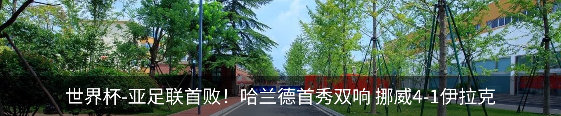 新闻动态