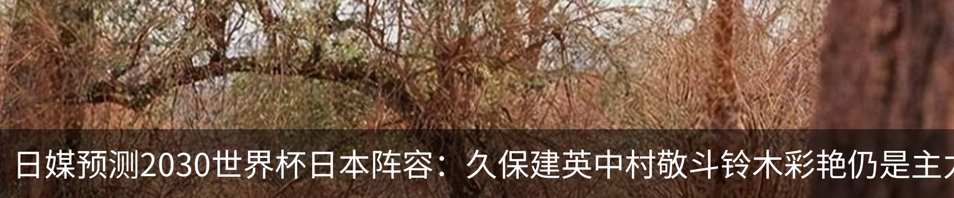 新闻动态