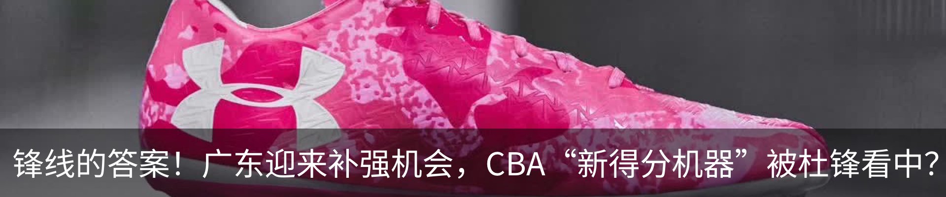 新闻动态