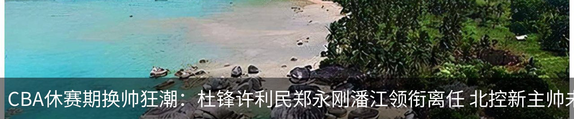 新闻动态